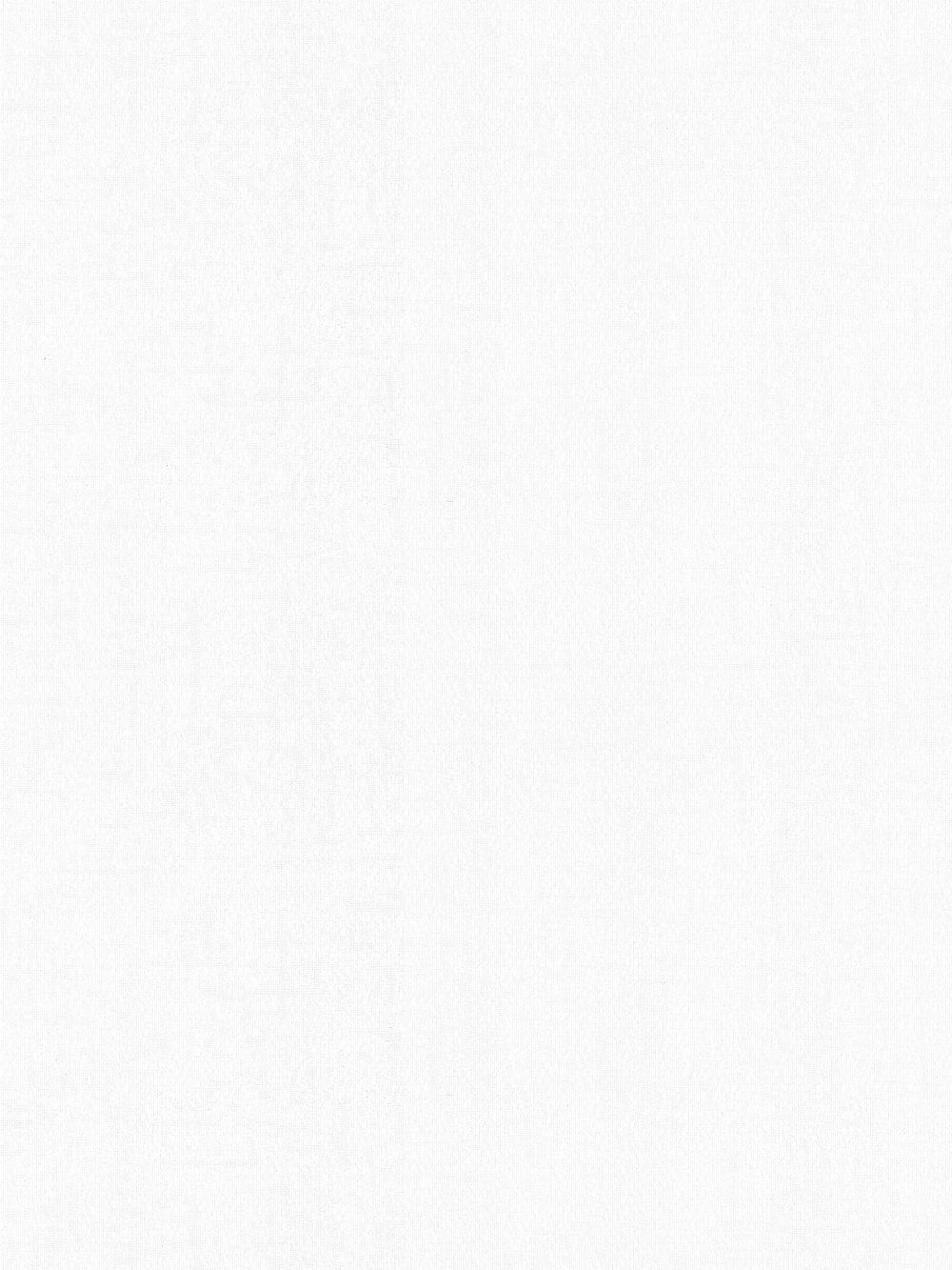 Campbell White Vertical Blind