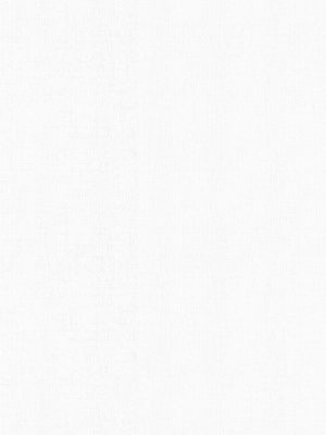 Campbell White Vertical Blind