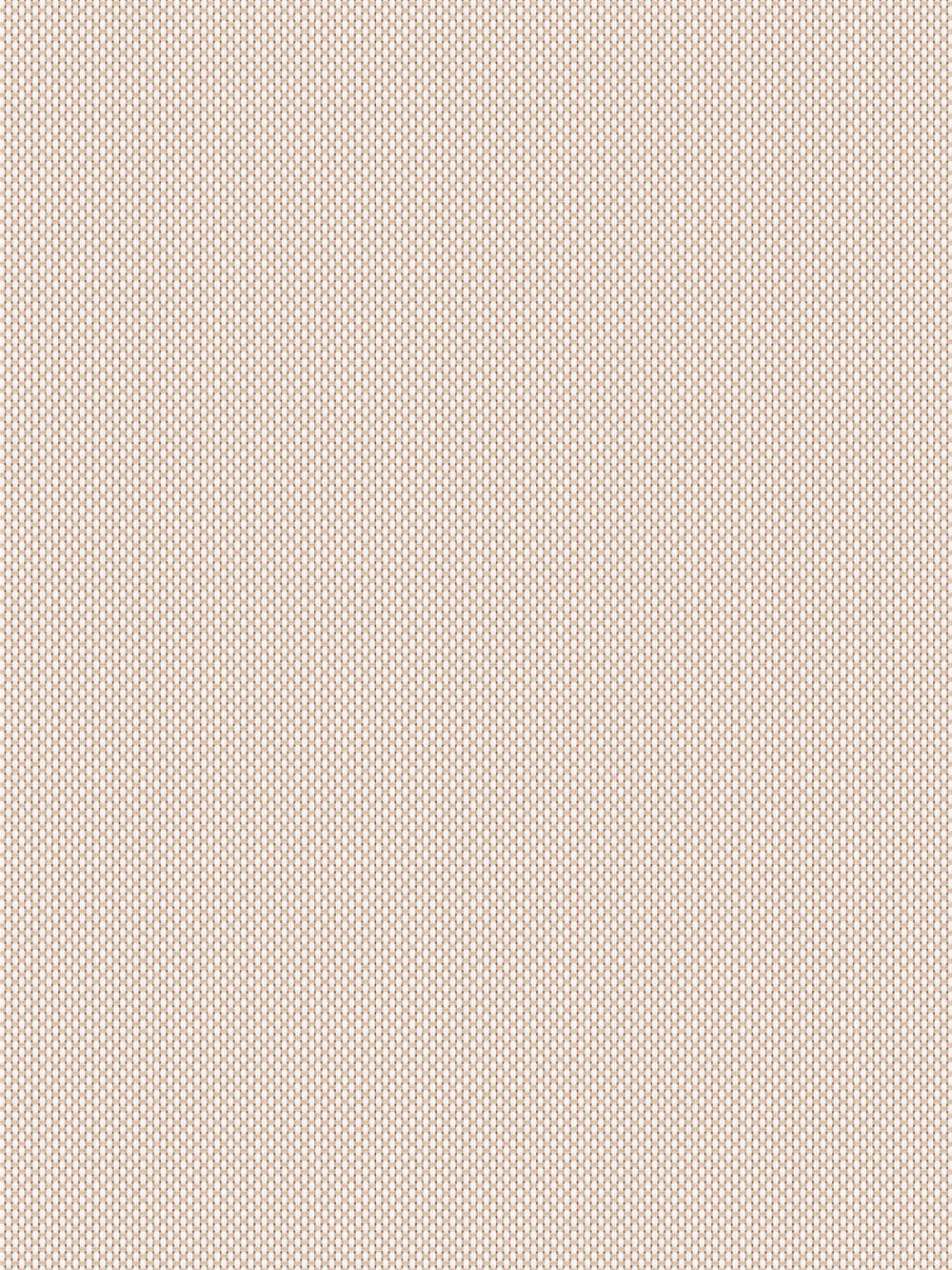 Astin 5%  Ivory Vertical Blind