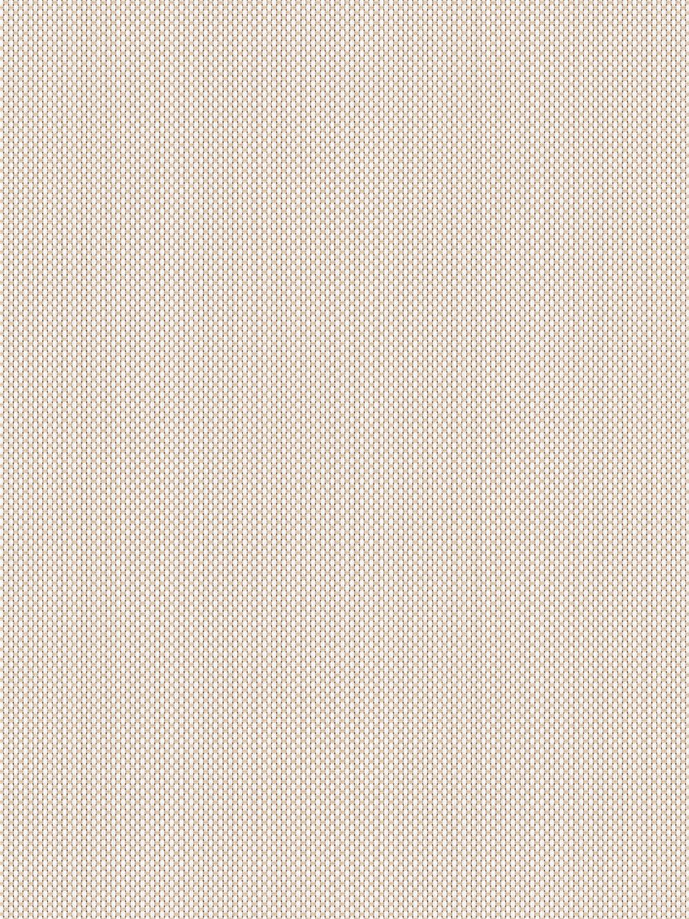 Astin 5%  Cream Vertical Blind