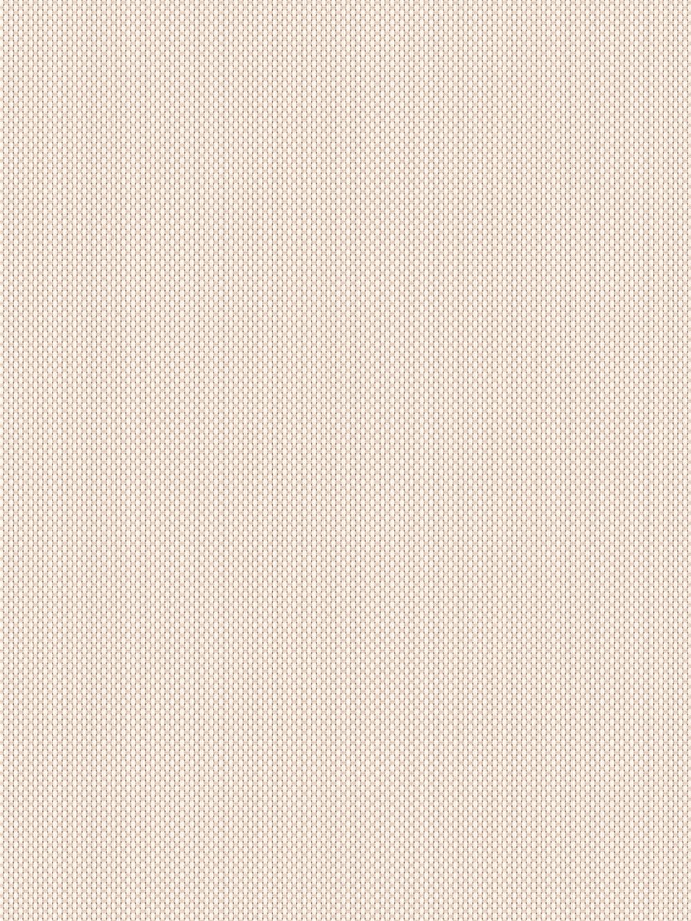Astin 8% Cream Vertical Blind