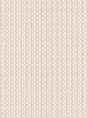 Astin 8% Cream Vertical Blind