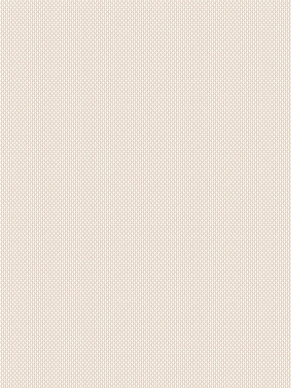 Astin 3% Cream Vertical Blind
