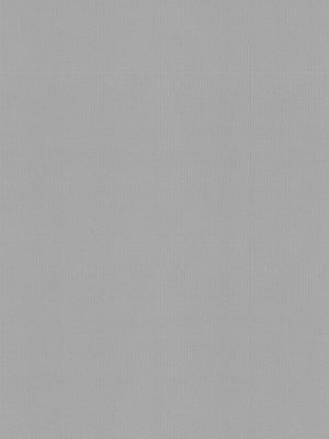 Shipley Light Grey Vertical Blind