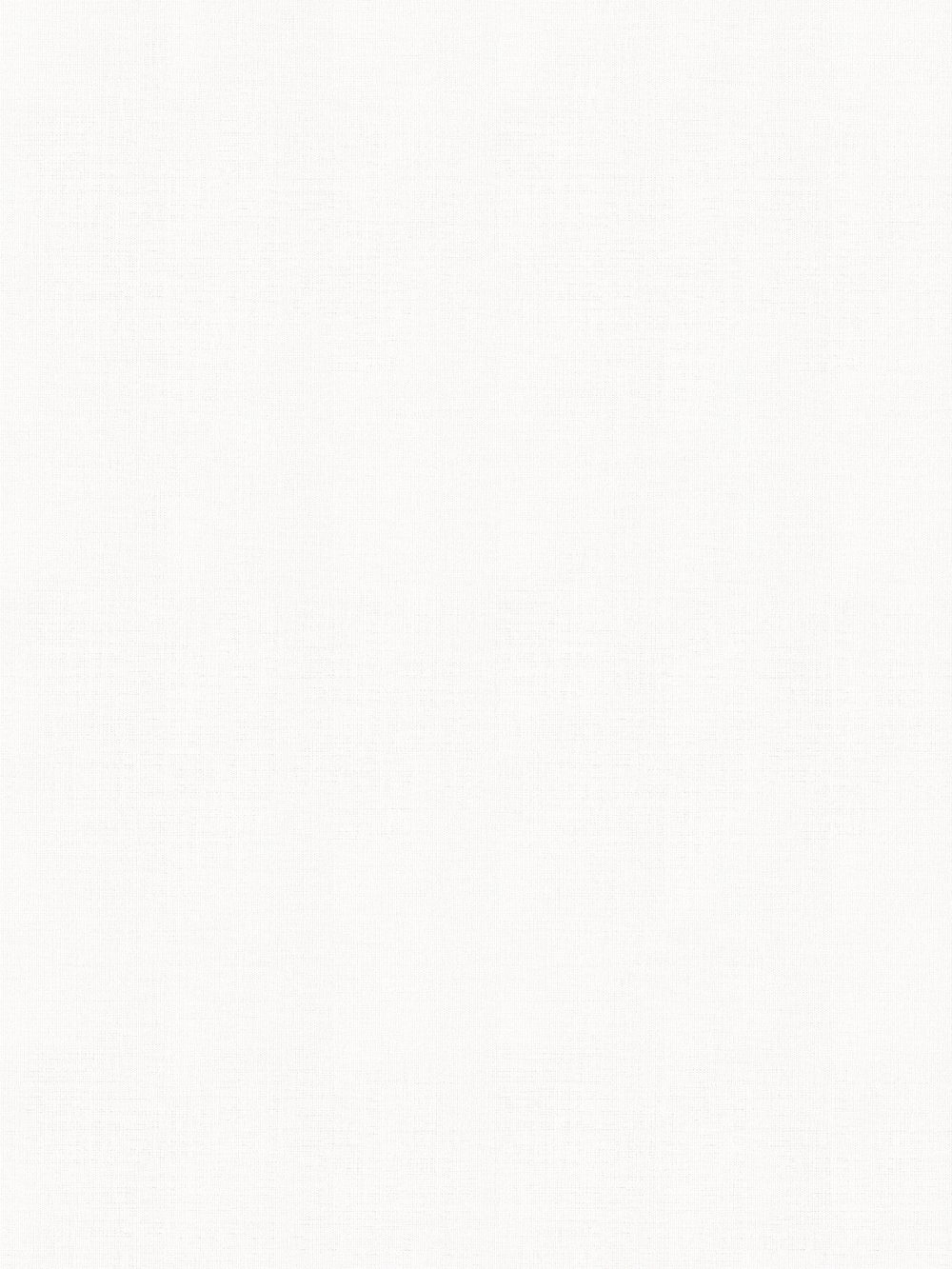 Darwin Snow Vertical Blind