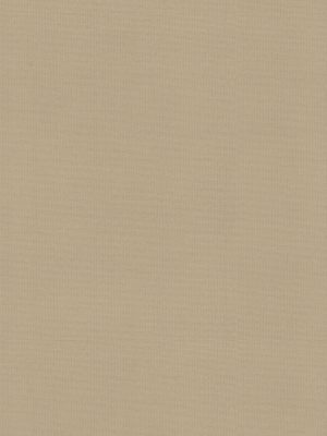 Maya Beige Vertical Blind