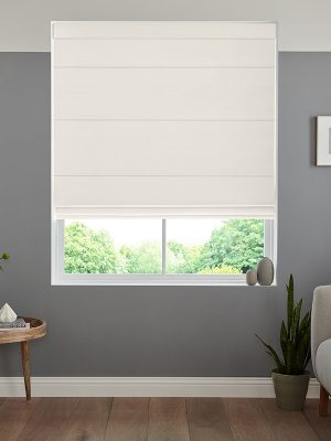 Darla Salt Roman Blind