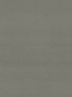 Cassandra Smoke Curtain