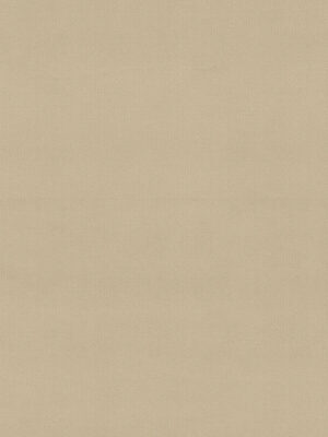 Cassandra Vanilla Roman Blind