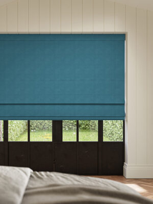 Cassandra Danube Roman Blind