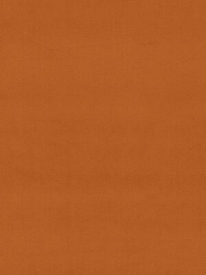 Cassandra Nectarine Curtain