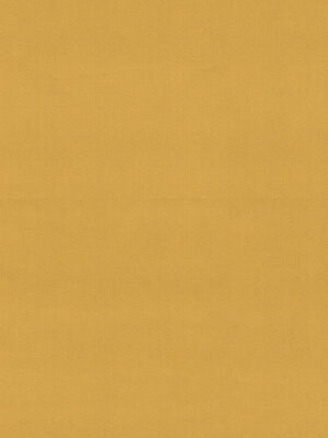 Cassandra Buttercup Curtain