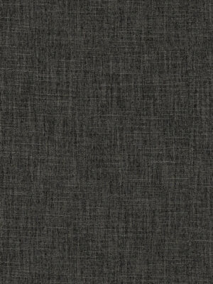 Anua Charcoal Curtain