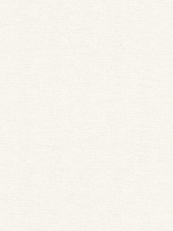 Rainey Ivory Roman Blind Rainey Ivory Roman Blind