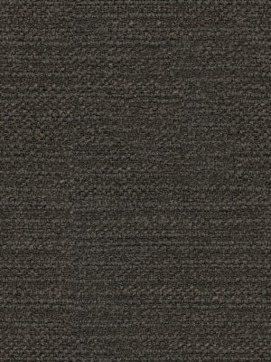 Penelope Flint Curtain