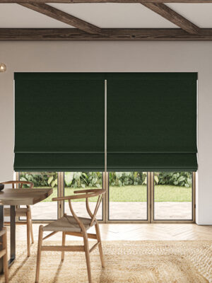 Penelope Kingfisher Roman Blind