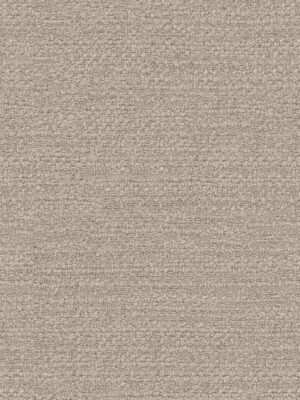 Penelope Shell Curtain
