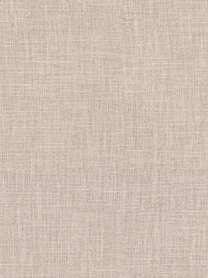 Anua Shell Curtain