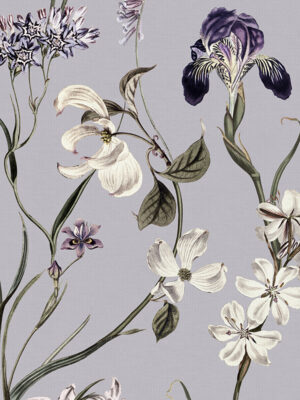 Iris Lavender Curtain