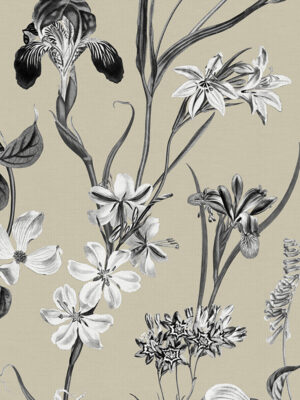 Iris Sable Curtain