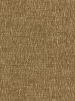 Emmy Maize Curtain
