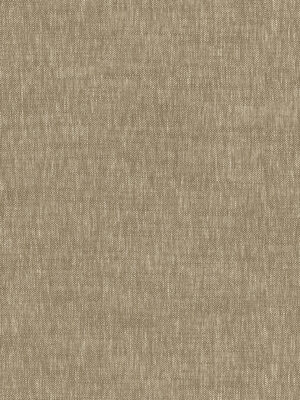 Emmy Fawn Curtain