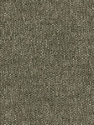 Emmy Moss Curtain