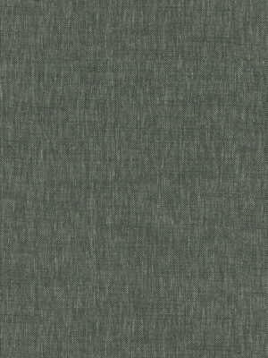 Emmy Kingfisher Curtain